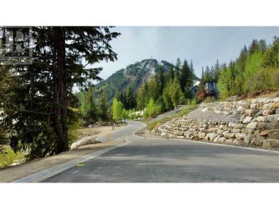104 TOPPING TERRACE, Rossland, ブリティッシュコロンビア V0G 1Y0, カナダ