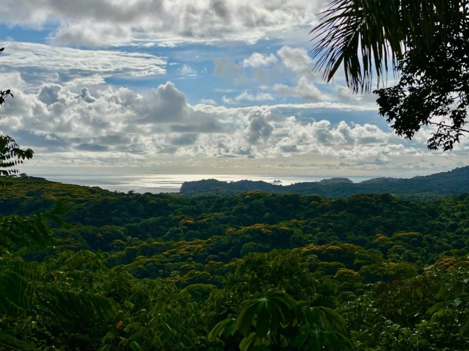 Punta Mala Puerto Cortés Osa, Puntarenas 00001, Costa Rica