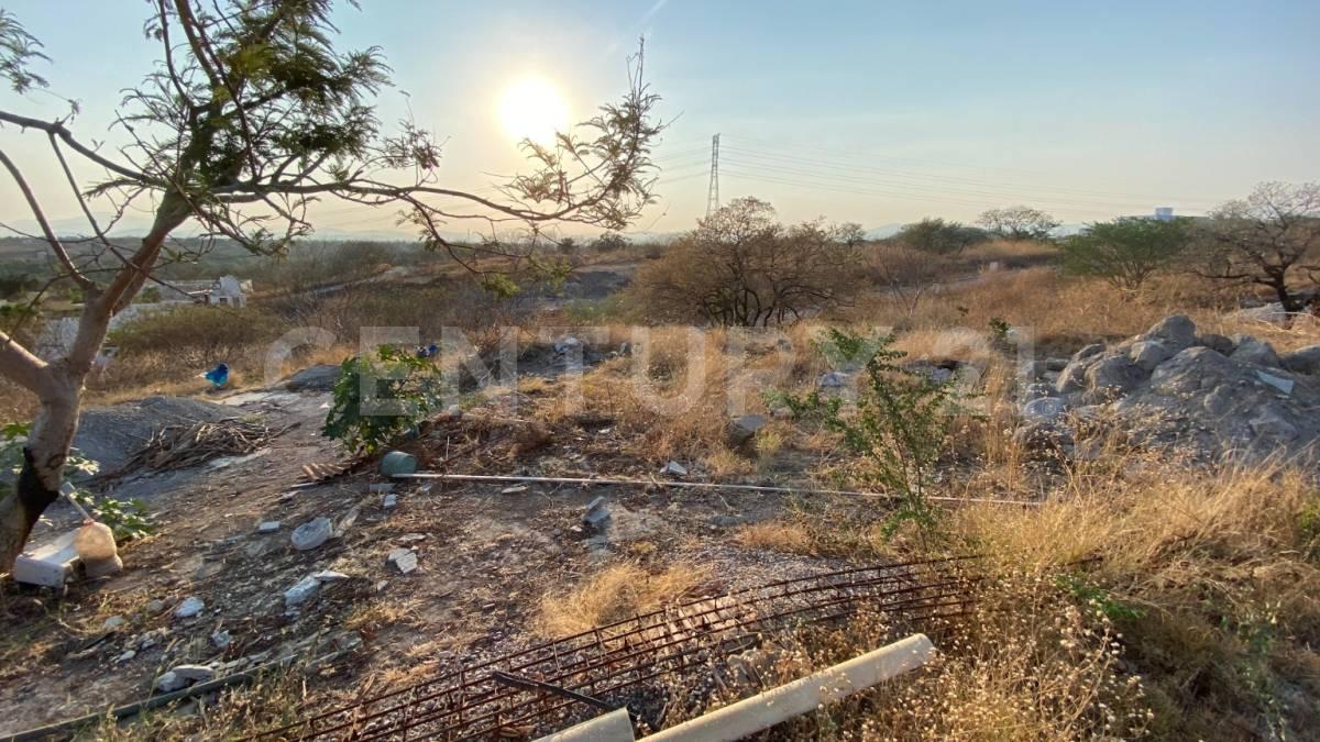 San Francisco ,, Xochitepec, Morelos 62790, Mexico