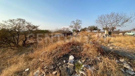 San Francisco ,, Xochitepec, Morelos 62790, Mexico