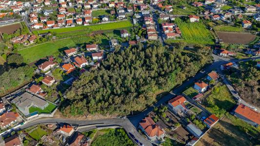 Santo Tirso, Porto 4780, Portugal