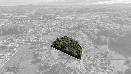 Santo Tirso, Porto 4780, Portugal