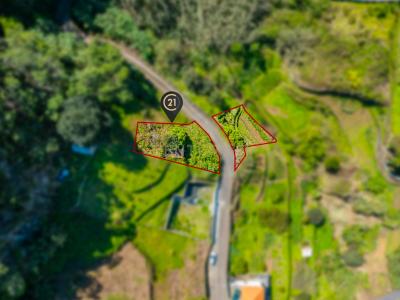 Machico, Madeira 9225-210, Portugal