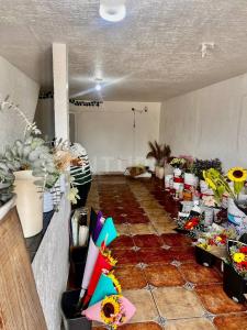 Coatzacoalcos, 韋拉克魯斯 96536, 墨西哥