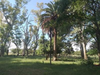 Ruta 3 Km 190,5, Las Flores, Buenos Aires (fuera De GBA) B7200, 아르헨티나