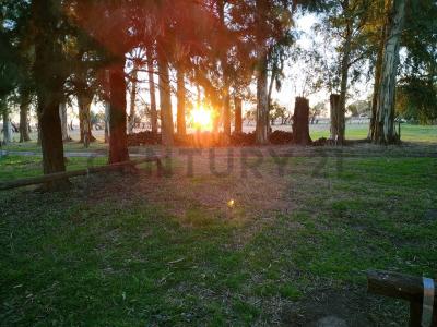 Ruta 3 Km 190,5, Las Flores, Buenos Aires (fuera De GBA) B7200, 아르헨티나
