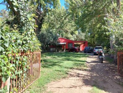 Pueyrredón , Chacras De Coria, Mendoza 00001, Argentina
