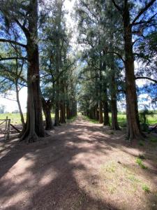 Exaltación De La Cruz, GBA Norte 1631, 阿根廷