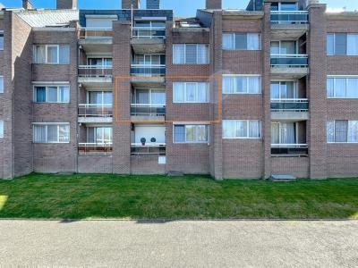 naamsesteenweg 143 104, Sint-truiden, 3800, Bélgica
