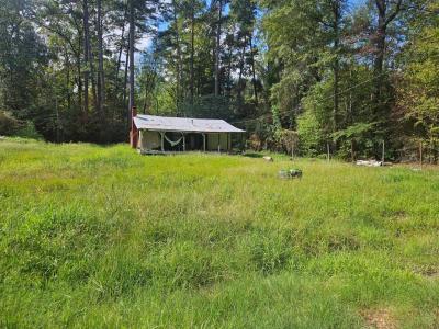 245 Red Cedar Lane, Huntington, Teksas 75949, USA