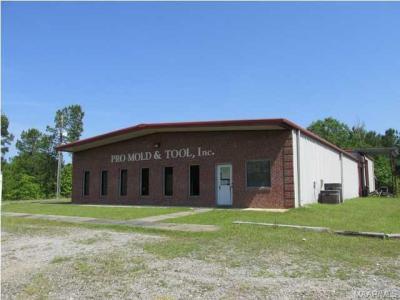 832 Central Road, Eclectic, Alabama 36024, USA
