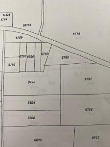TBD FM 1159, Clarksville, Texas 75426, Estados Unidos