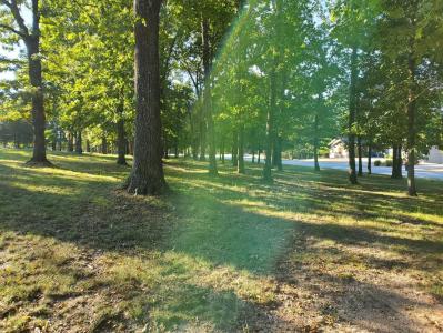 Lot 26 & 27 Mill Creek Way, Shell Knob, Missouri 65747, USA