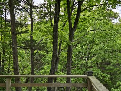 22674 Forest Lane, Hermitage, Missouri 65668, États-Unis