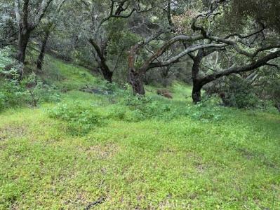 0 Colson Canyon, Santa Maria, California 93454, Stati Uniti