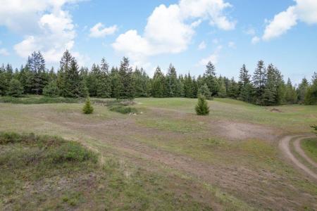 NKA Forest Grove Ln, Newport, Washington 99156, États-Unis