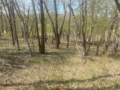 TBD River Pointe Trail, Underwood, Minnesota 56586, États-Unis