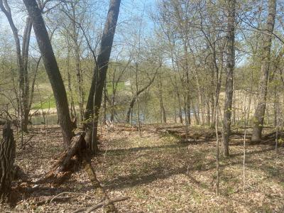 TBD River Pointe Trail, Underwood, Minnesota 56586, USA