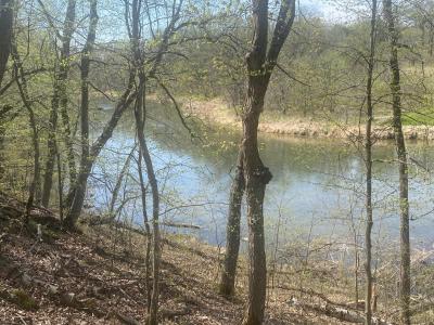 TBD River Pointe Trail, Underwood, Minnesota 56586, États-Unis