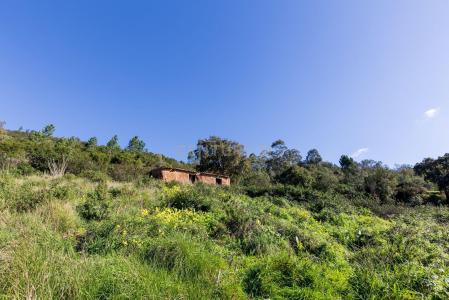 Monchique, Faro 8550, Portugal