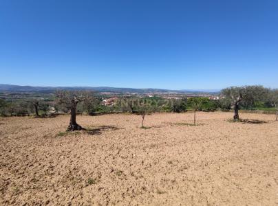 Chaves, Vila Real 5400-580, Portugal