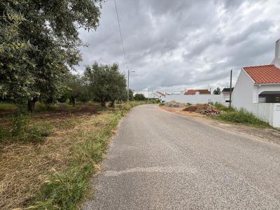 Torres Novas, Santarem 2350, Portugal