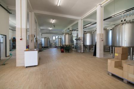 Mafra, Lisbon 2640-725, Portugal