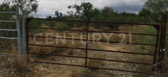 General Zuazua, Nuevo León 65760, Mexique