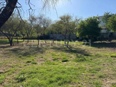 Montemorelos, Nuevo León 67617, Mexique