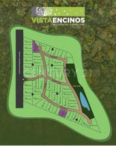 Montemorelos, Nuevo León 67617, Mexico