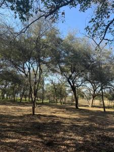 Montemorelos, Nuevo León 67617, Mexico