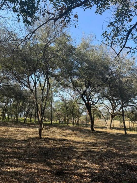 Montemorelos, Nuevo León 67617, Mexique
