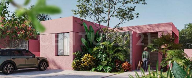 Xitibcanul 2,, Sinanché, Yucatán 97424, Mexico