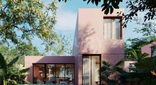 Xitibcanul 3,, Sinanché, Yucatán 97424, Mexico