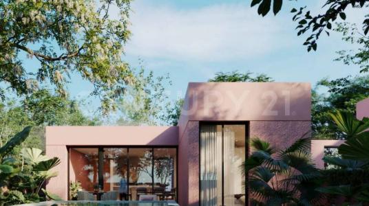 Xitibcanul 2,, Sinanché, Yucatán 97424, Mexico