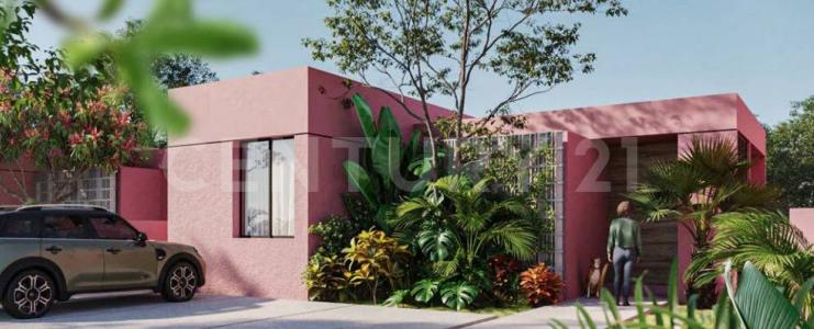 Xitibcanul 2,, Sinanché, Yucatán 97424, México