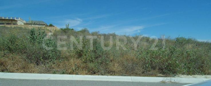 Los Cabos, Kalifornia Dolna Południowa 23473, Meksyk