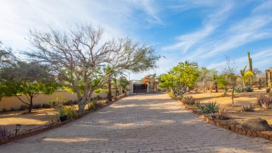 Los Cabos, Kalifornia Dolna Południowa 23473, Meksyk