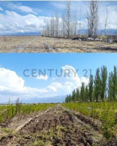 Vista Flores, Mendoza 00001, Argentyna