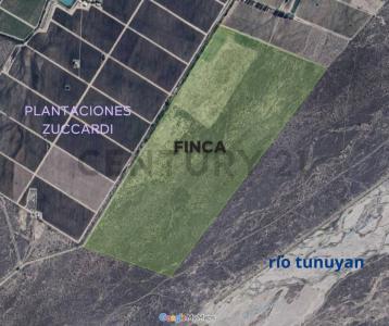 Vista Flores, 門多薩 00001, 阿根廷