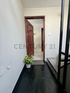 CORDOVA , Lima, Lima 00001, Peru