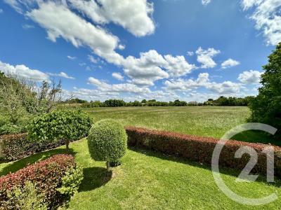 Le Fenouiller, Pays De La Loire 85800, France