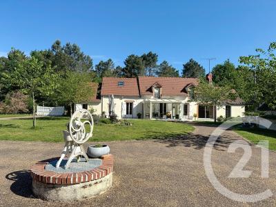 Pruniers En Sologne, سانتر 41200, فرنسا