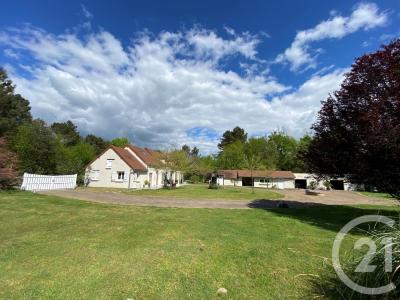 Pruniers En Sologne, Centre 41200, France