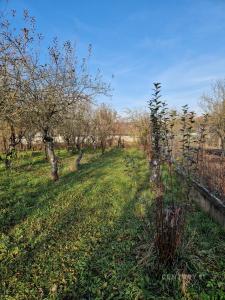 Čebín, Brno-venkov, 捷克共和国