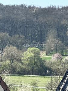 Bad Nauheim, Hessen 61231, 德國