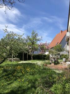 Breitenbach, Rheinland-Pfalz 66916, Allemagne