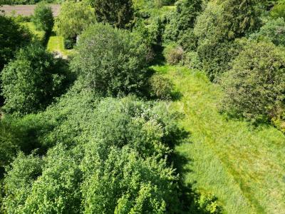 Bad Bentheim, Niedersachsen 48455, Niemcy