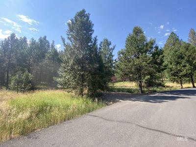 3955 Valley View Dr, New Meadows, Idaho 83654, Estados Unidos