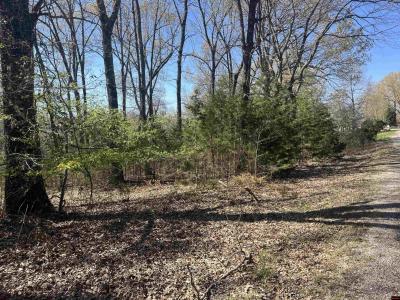 Lot 25 LAKEPOINTE DRIVE, Flippin, Arkansas 72634, USA